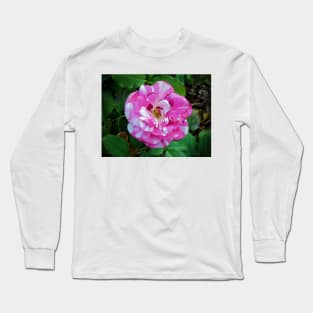 Striped Rose Long Sleeve T-Shirt